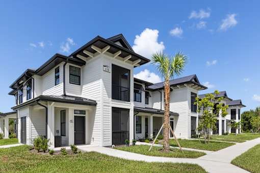 a group of white homes with palm trees in front of them