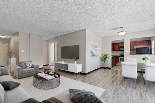 A modern living room with a grey couch, a coffee table, and a television.
