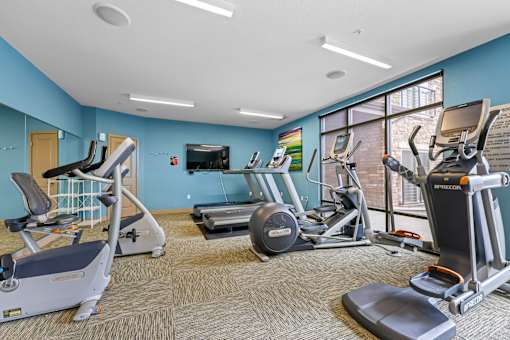 A gym with treadmills, elliptical machines, and other exercise equipment.