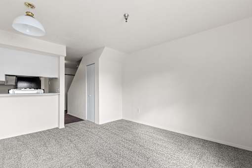 A white room with a grey carpet and a ceiling light.