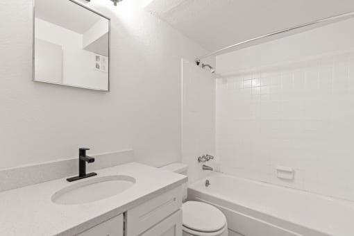 a bathroom with a sink and a tub and a toilet