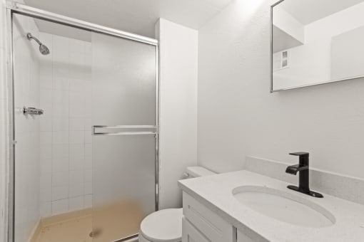 a bathroom with a sink and a shower