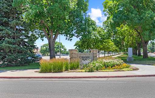 A sign that says Colorado in front of some trees.