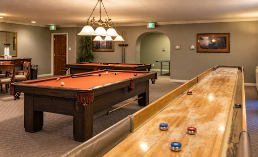 A pool table with a red cloth and a shelf with a plant on it.