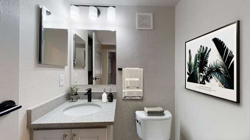A bathroom with a sink, toilet, and a mirror.