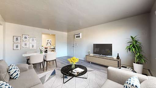 A living room with a grey couch, a black coffee table, a television, and a potted plant.