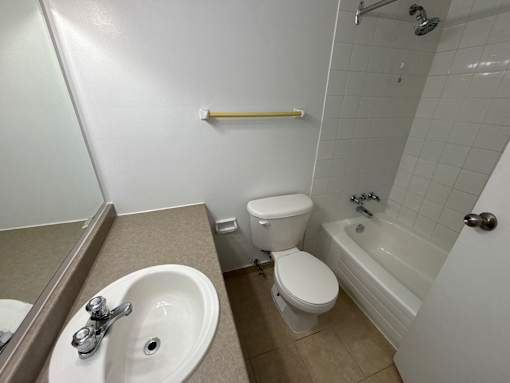 A white toilet sits next to a sink in a bathroom.