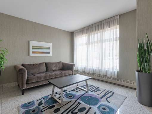 A living room with a brown couch, a coffee table, and a plant.