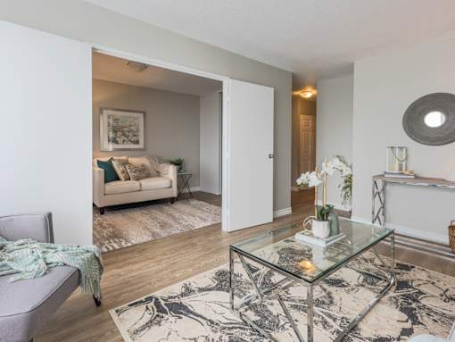 A living room with a glass coffee table and a grey couch.