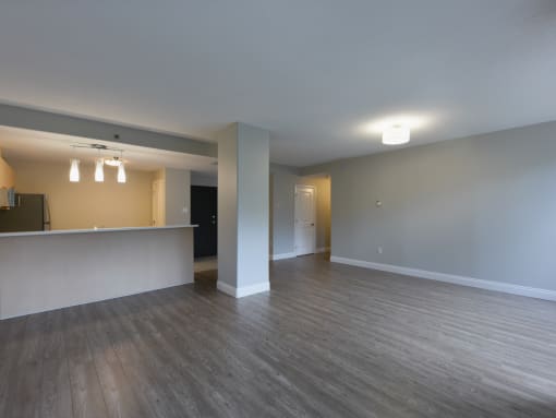 Connecting kitchen and living area