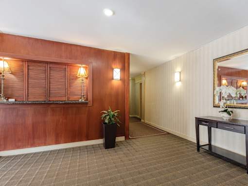 A room with a brown wall and a brown floor with a potted plant.