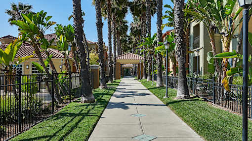 A tree-lined street with a sidewalk and houses on both sides.