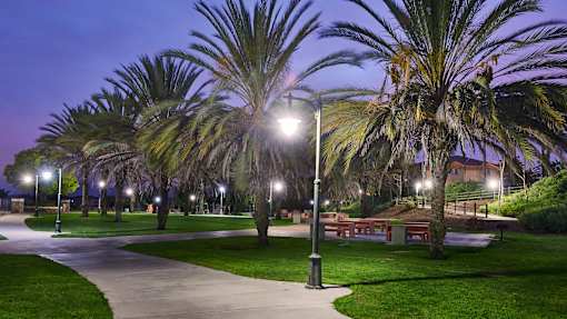 A park with palm trees and a pathway is illuminated by streetlights.
