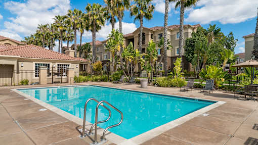 A swimming pool surrounded by palm trees and a building in the background.