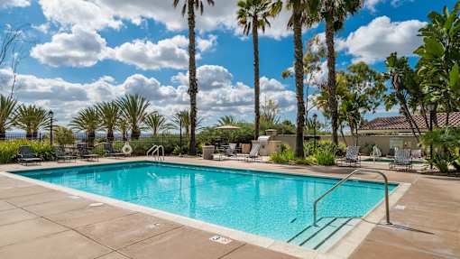 A large swimming pool surrounded by palm trees and lounge chairs.