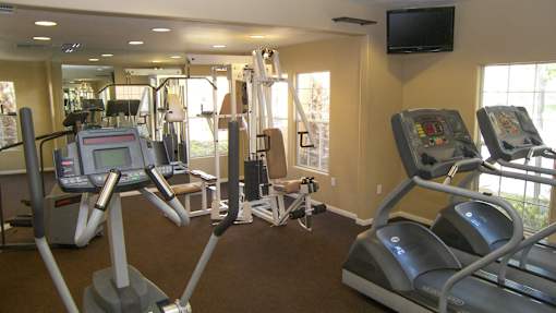 A gym with treadmills, elliptical machines, and a television.