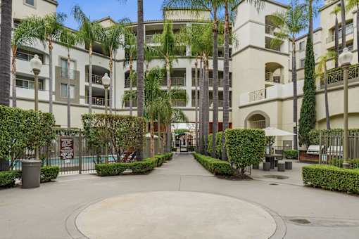 A courtyard surrounded by palm trees and buildings.