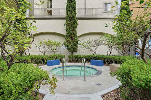 A small pool surrounded by bushes and trees.