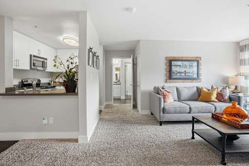 A living room with a grey couch and a coffee table.