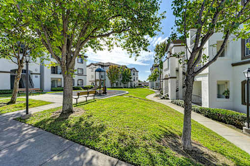 A tree-lined walkway in a residential area.