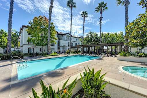 A swimming pool surrounded by palm trees and plants.