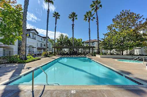 A swimming pool surrounded by palm trees and a white building.