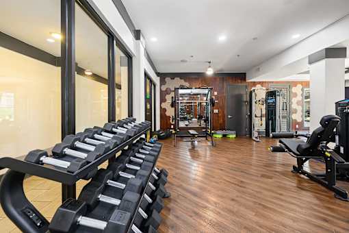 A gym with a row of black dumbbells on the left and a mirrored wall on the right.