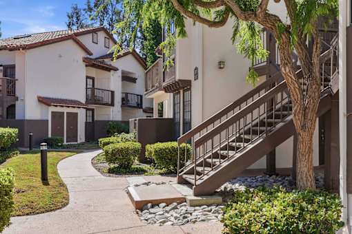 A tree is in front of a building.