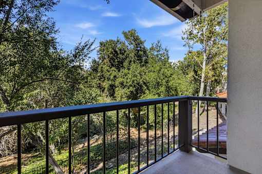A balcony with a black railing overlooks a wooded area.