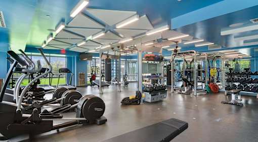 A spacious gym with a variety of equipment.