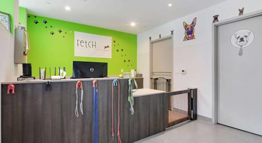 A dog-themed office with a green wall and a whiteboard.