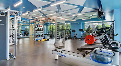 A gym with a variety of equipment including a rowing machine.