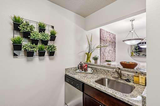 A kitchen with a sink and a wall of plants.