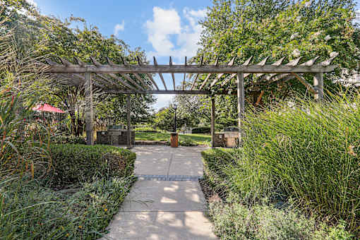 a garden with a pergola and a path