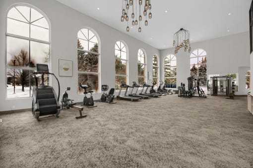 fully-equipped fitness center