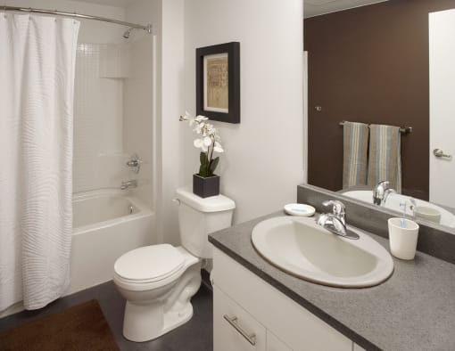 a bathroom with a sink toilet and a bath tub