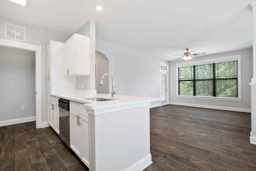 kitchen and living room