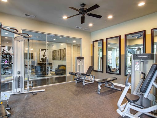 The Ascent at Windward apartments in Alpharetta Georgia photo of fitness center- weighted machines