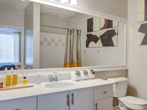 Pet-Friendly Apartments in Alpharetta, GA – The Ascent at Windward – bathroom with upgraded materials including granite countertops