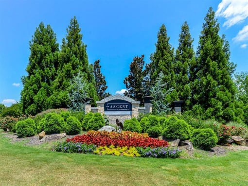 Alpharetta Apartments – The Ascent at Windward – monument sign with beautiful landscaping