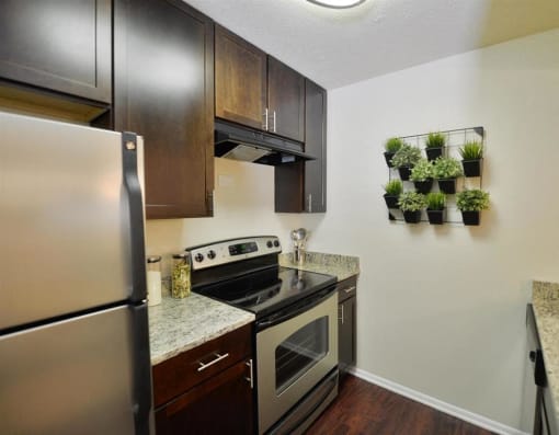 Germantown MD Apartments -Cherry Knoll Apartments Kitchen With Wooden Cabinetry And Marble Countertop And Wall Plants