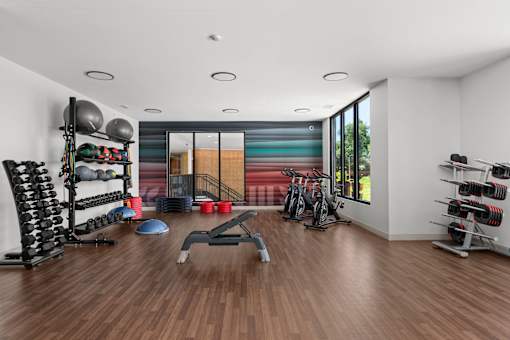 A gym with a variety of equipment including weights and a bench.