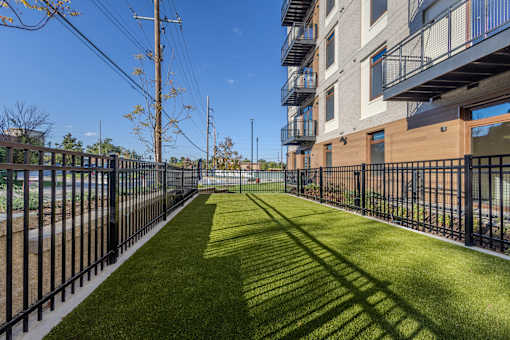 exterior pet park