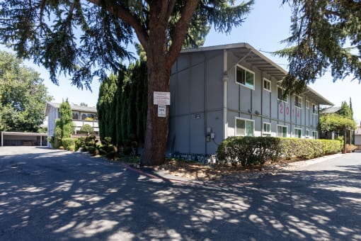 a building with a sign on a tree in front of it