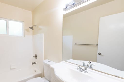 a bathroom with a sink and a toilet and a mirror