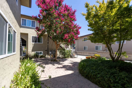 a courtyard with a pink flowering tree in front of a building