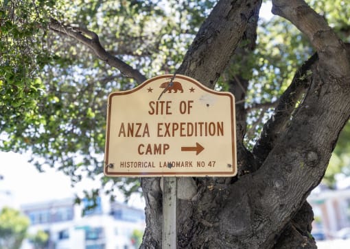 a sign for the site exploration camp in front of a tree