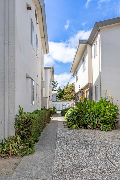 A row of white houses with green plants in front.