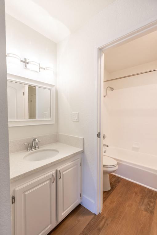 a bathroom with a sink and a toilet