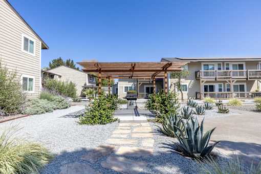 a courtyard with succulent plants and a pergola